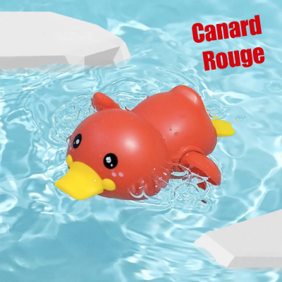 canard_pour_le_bain_pour_piscine